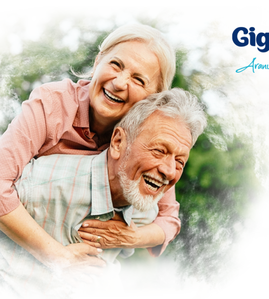 Giggles Yetişkin Emici Külot Large 30'lu 1 Paket 30 Adet